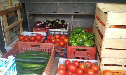 Caisses et cagots avec des légumes