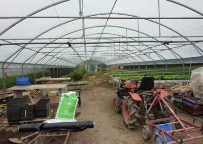 Engins et caisses dans une serre de légumes