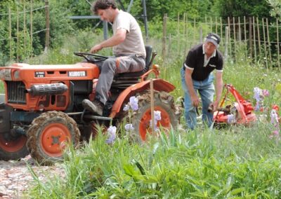 Tracteur rouge laboure potager