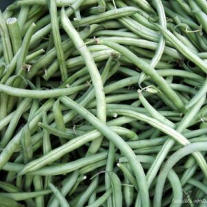 Haricots verts (0,500 Kg)