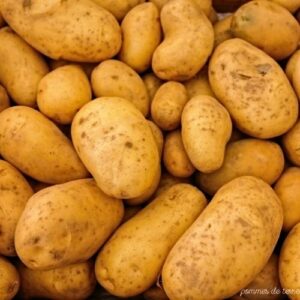 Pomme de terre (0,500 Kg)
