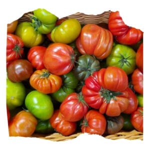 Tomates (Kg)