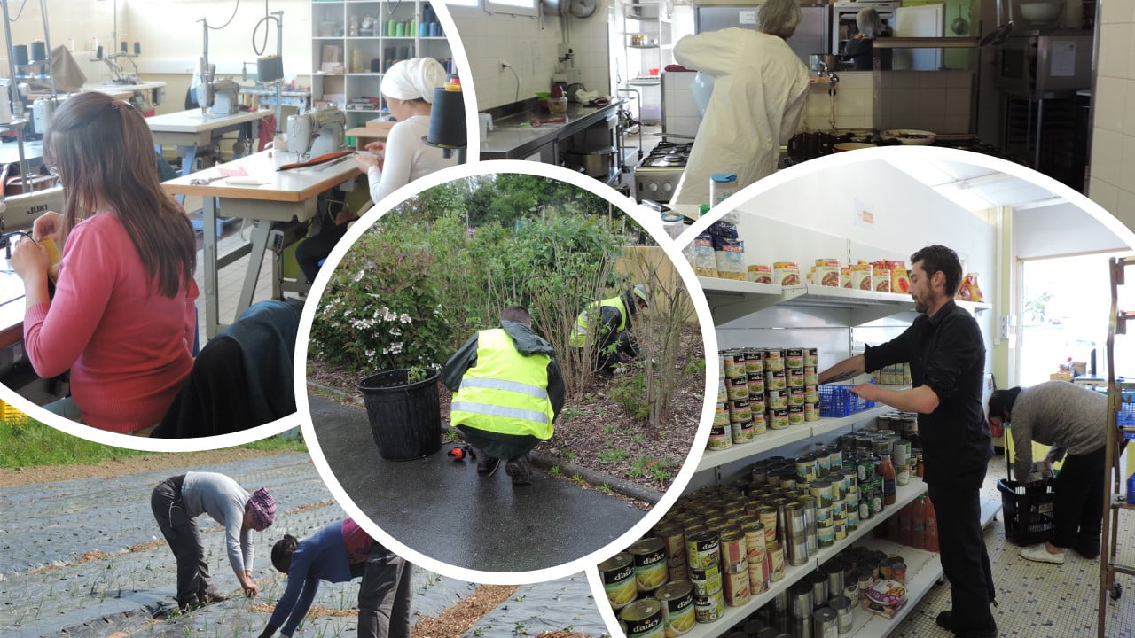 Montage de photos du chantier d'insertion de Graine d'ID