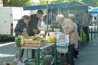 Stand légumes - Graine d'ID Stand de légumes sur un marché