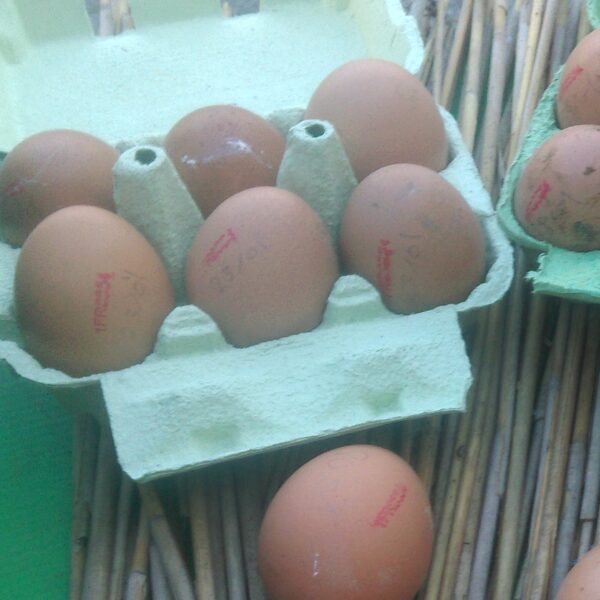 Oeufs (demi douzaine)