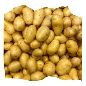 Pomme de terre Nouvelle (Kg)