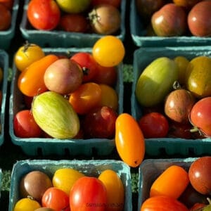 Tomates Cerises (0,250 Kg)