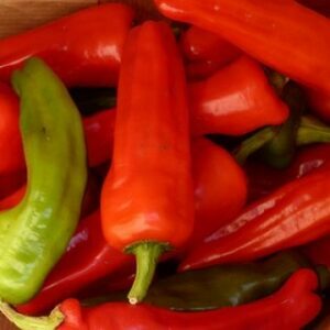 Piment (Kg)