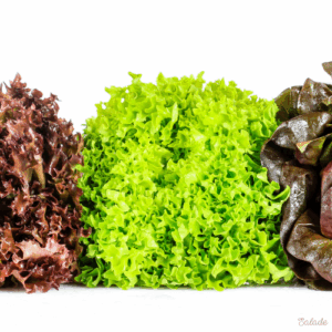 Salade (unité)