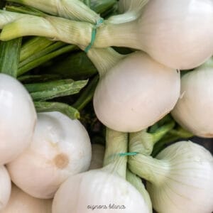 Oignons blanc (0,500 Kg)