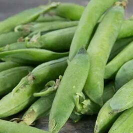 Petit Pois (Kg)
