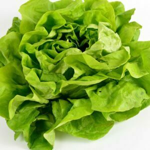 Salade (unité)