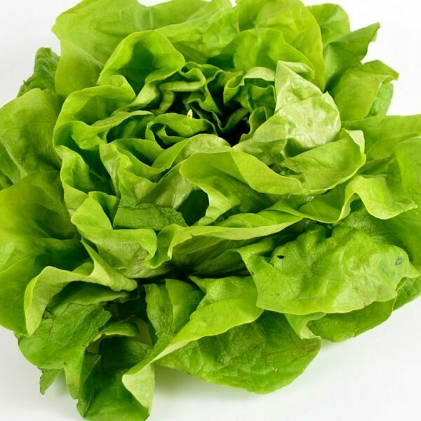 Salade (unité)