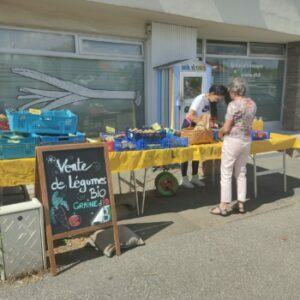 Mon panier de légumes