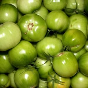 Tomates vertes