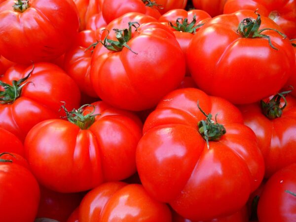 Tomates (Kg)