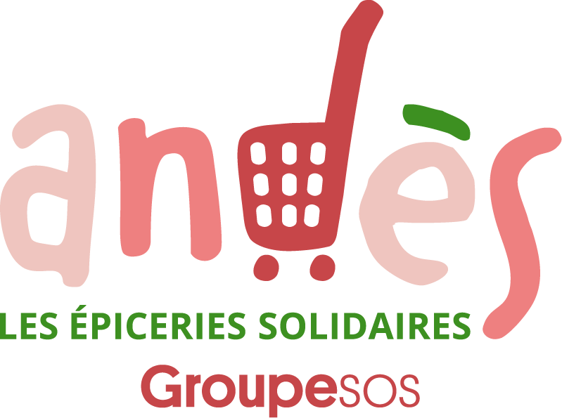 Logo ANDES