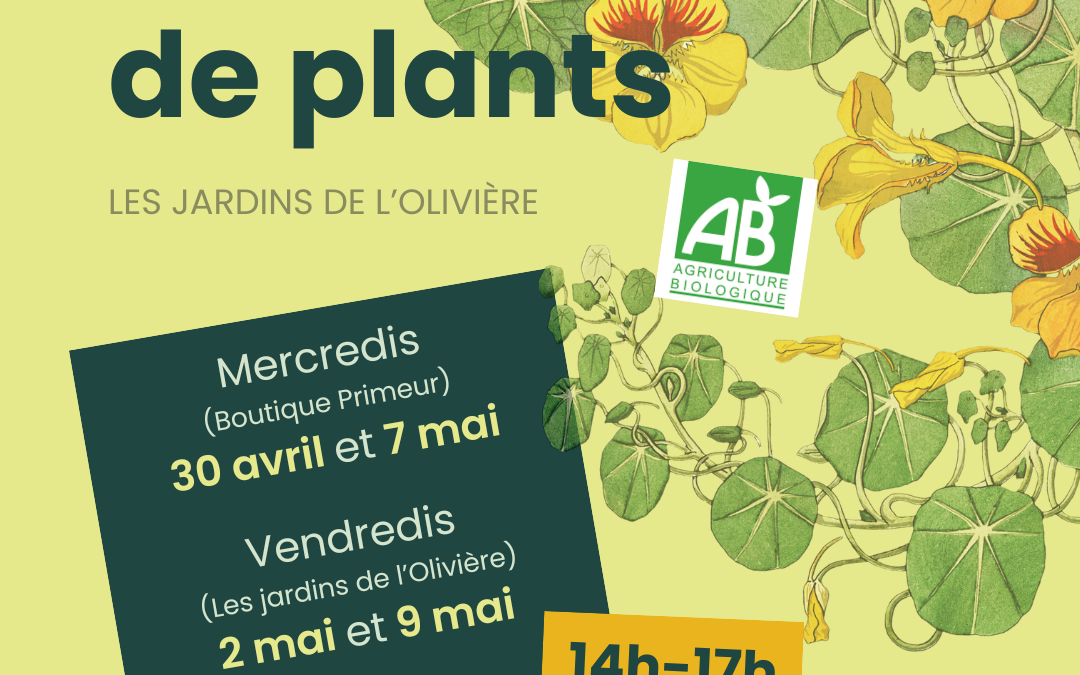 Vente de plants !
