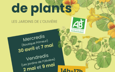 Vente de plants !
