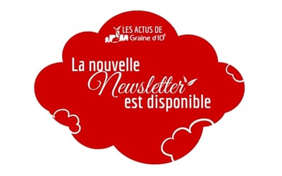 La Newsletter du mois de Novembre 2025 !