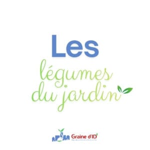 Mon panier de légumes 🥕